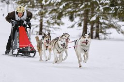 Kandersteg 2014 WM