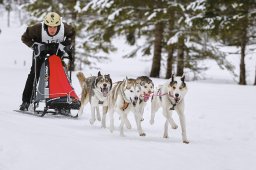 Kandersteg 2014 WM