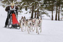 Kandersteg 2014 WM