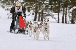 Kandersteg 2014 WM