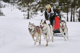 Kandersteg 2014 WM