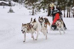 Kandersteg 2014 WM