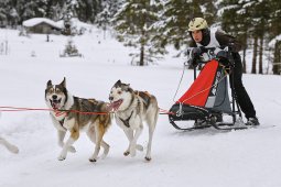 Kandersteg 2014 WM