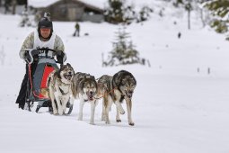 Kandersteg 2014 WM