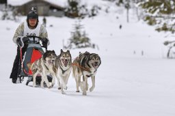 Kandersteg 2014 WM