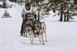 Kandersteg 2014 WM