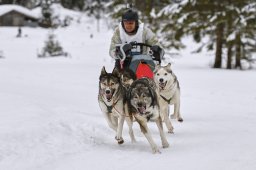 Kandersteg 2014 WM