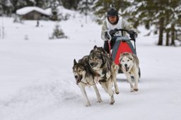 Kandersteg 2014 WM