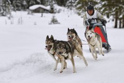 Kandersteg 2014 WM