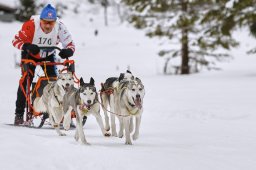 Kandersteg 2014 WM