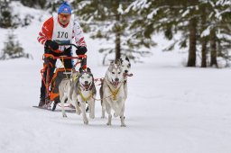 Kandersteg 2014 WM