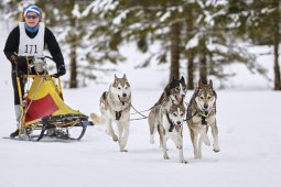 Kandersteg 2014 WM