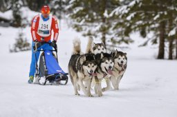 Kandersteg 2014 WM