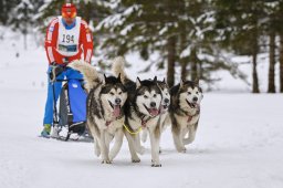 Kandersteg 2014 WM