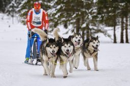 Kandersteg 2014 WM