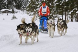 Kandersteg 2014 WM