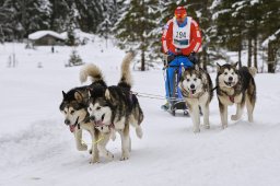 Kandersteg 2014 WM