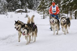 Kandersteg 2014 WM