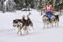 Kandersteg 2014 WM