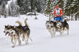 Kandersteg 2014 WM