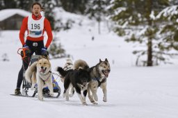 Kandersteg 2014 WM