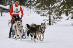 Kandersteg 2014 WM