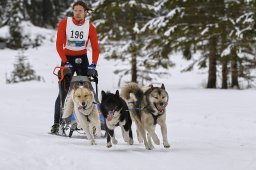 Kandersteg 2014 WM