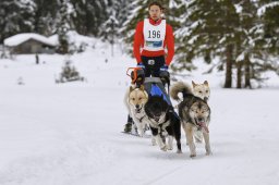 Kandersteg 2014 WM