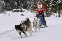 Kandersteg 2014 WM