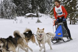 Kandersteg 2014 WM