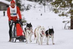 Kandersteg 2014 WM