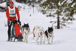 Kandersteg 2014 WM