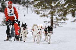 Kandersteg 2014 WM