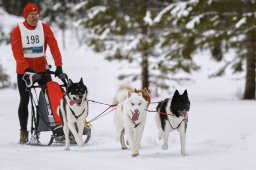 Kandersteg 2014 WM