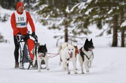 Kandersteg 2014 WM