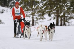 Kandersteg 2014 WM