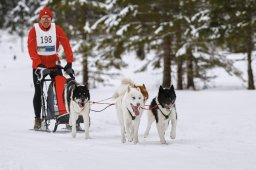 Kandersteg 2014 WM