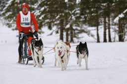 Kandersteg 2014 WM