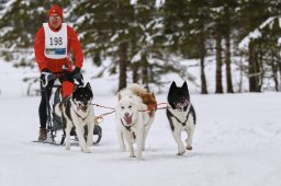 Kandersteg 2014 WM