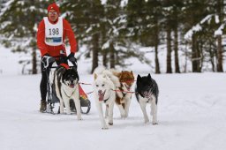 Kandersteg 2014 WM