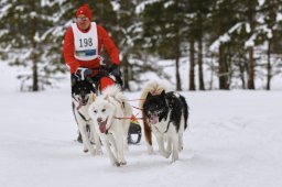 Kandersteg 2014 WM