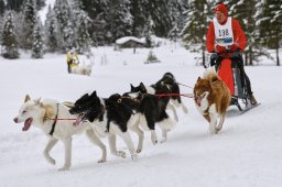 Kandersteg 2014 WM