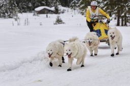 Kandersteg 2014 WM