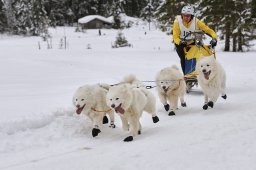 Kandersteg 2014 WM