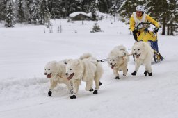 Kandersteg 2014 WM