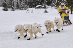 Kandersteg 2014 WM