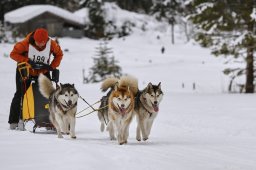 Kandersteg 2014 WM