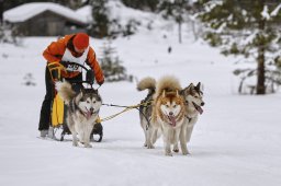 Kandersteg 2014 WM