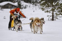 Kandersteg 2014 WM