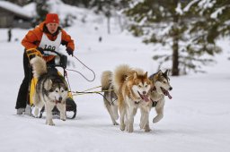 Kandersteg 2014 WM